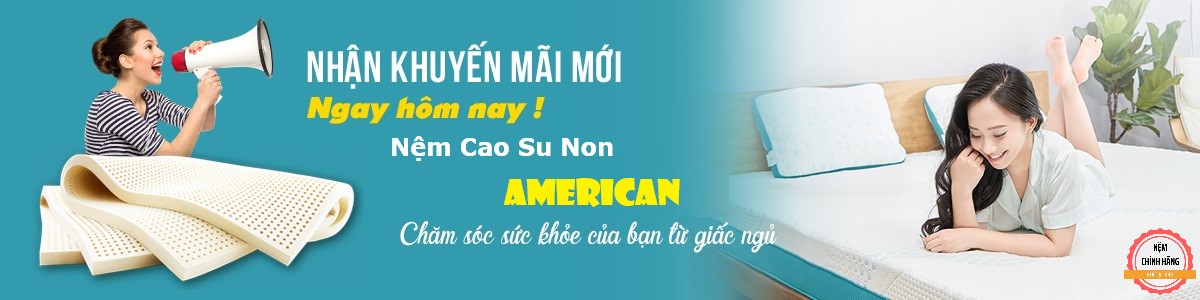 banner nệm cao su american